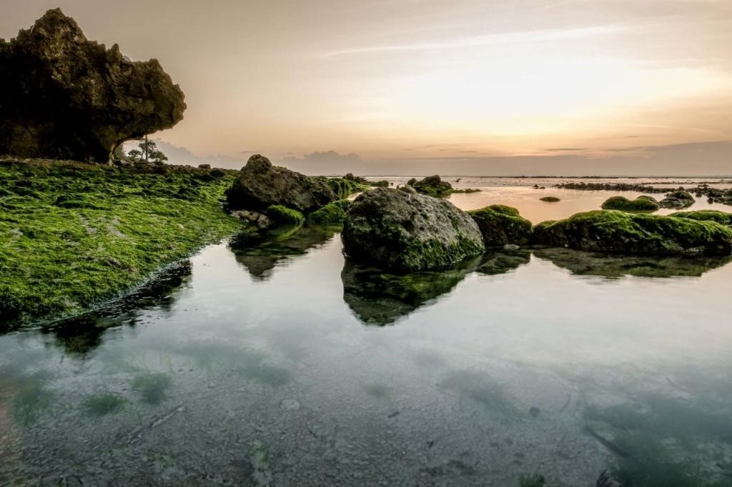 ALT="Plengkung “G-Land” Beach"